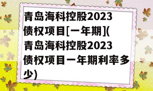 青岛海科控股2023债权项目[一年期](青岛海科控股2023债权项目一年期利率多少)