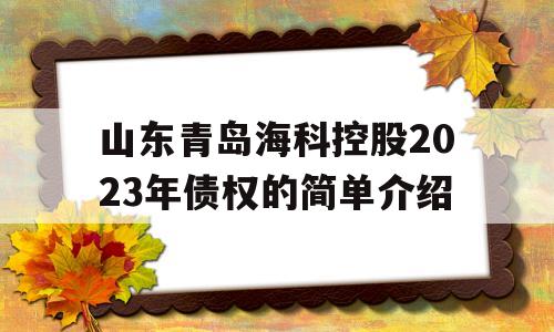 山东青岛海科控股2023年债权的简单介绍