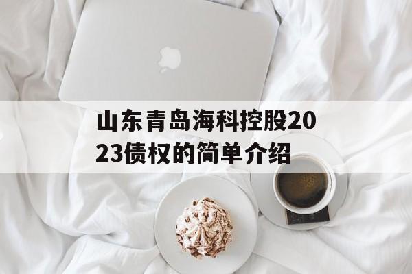 山东青岛海科控股2023债权的简单介绍