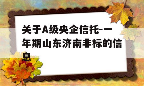 关于A级央企信托-一年期山东济南非标的信息