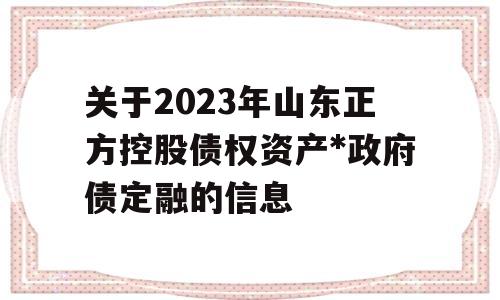 关于2023年山东正方控股债权资产*政府债定融的信息