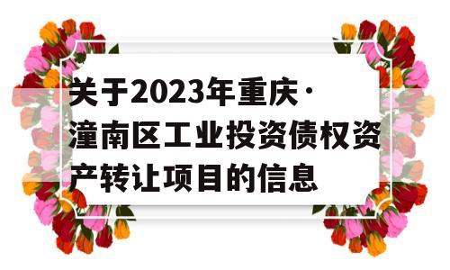 关于2023年重庆·潼南区工业投资债权资产转让项目的信息