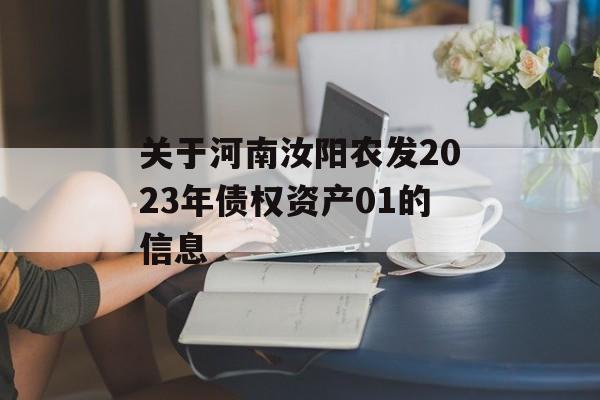 关于河南汝阳农发2023年债权资产01的信息