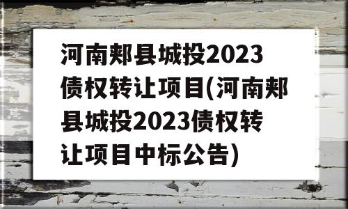 河南郏县城投2023债权转让项目(河南郏县城投2023债权转让项目中标公告)