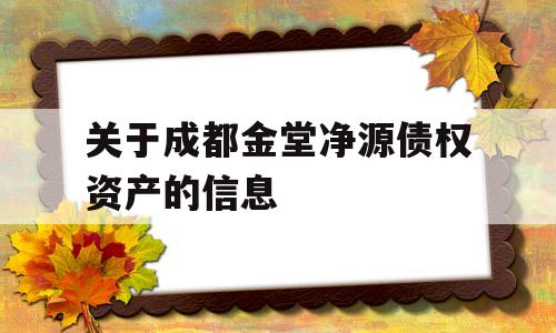 关于成都金堂净源债权资产的信息