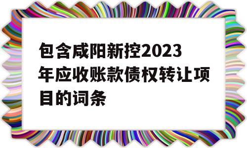 包含咸阳新控2023年应收账款债权转让项目的词条