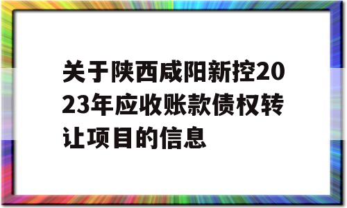 关于陕西咸阳新控2023年应收账款债权转让项目的信息