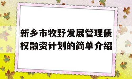 新乡市牧野发展管理债权融资计划的简单介绍