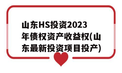 山东HS投资2023年债权资产收益权(山东最新投资项目投产)