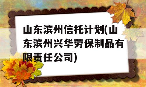 山东滨州信托计划(山东滨州兴华劳保制品有限责任公司)