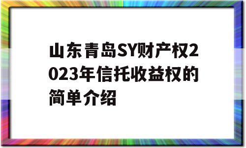 山东青岛SY财产权2023年信托收益权的简单介绍