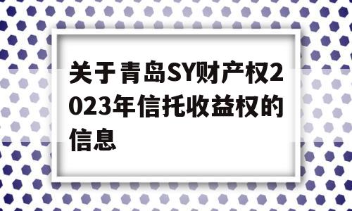 关于青岛SY财产权2023年信托收益权的信息