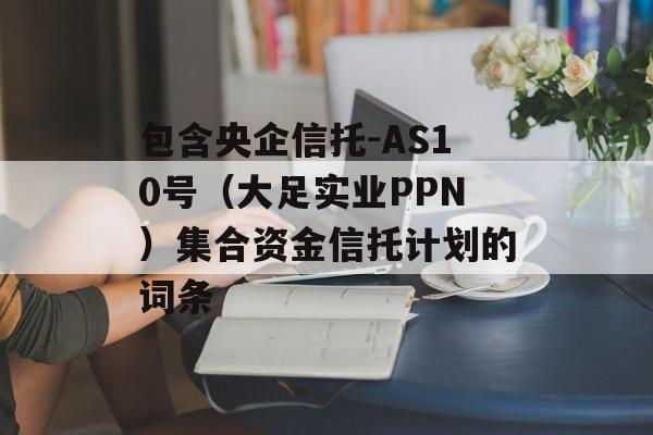 包含央企信托-AS10号（大足实业PPN）集合资金信托计划的词条