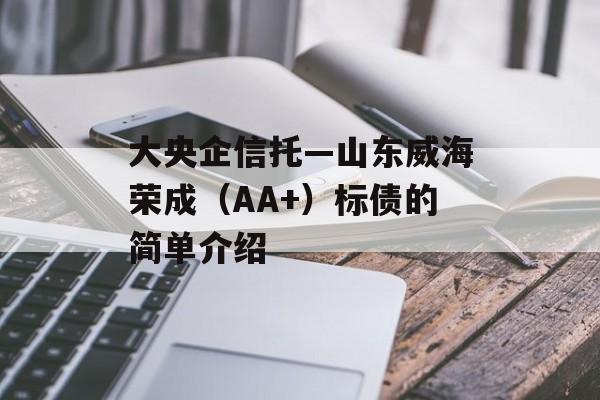 大央企信托—山东威海荣成（AA+）标债的简单介绍