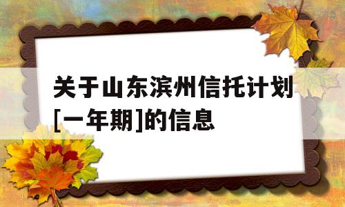 关于山东滨州信托计划[一年期]的信息