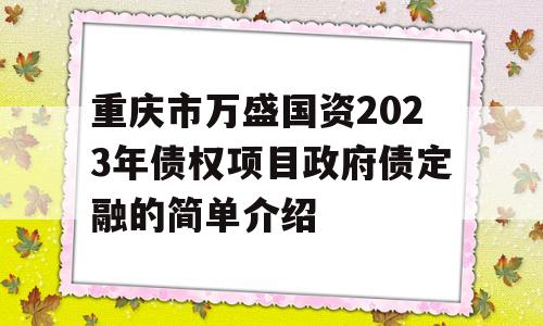 重庆市万盛国资2023年债权项目政府债定融的简单介绍