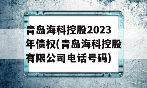 青岛海科控股2023年债权(青岛海科控股有限公司电话号码)