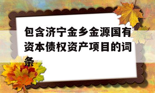 包含济宁金乡金源国有资本债权资产项目的词条