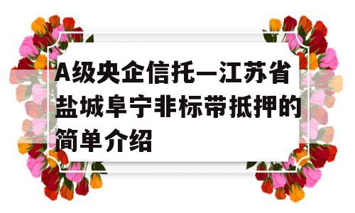 A级央企信托—江苏省盐城阜宁非标带抵押的简单介绍