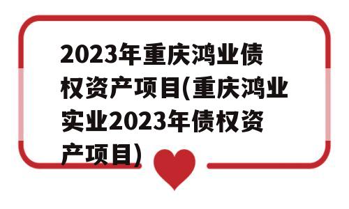 2023年重庆鸿业债权资产项目(重庆鸿业实业2023年债权资产项目)