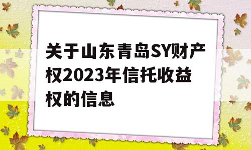 关于山东青岛SY财产权2023年信托收益权的信息