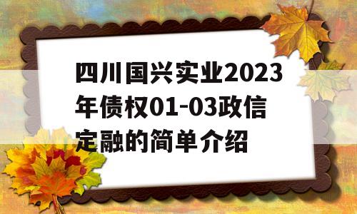 四川国兴实业2023年债权01-03政信定融的简单介绍