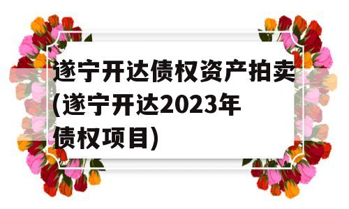 遂宁开达债权资产拍卖(遂宁开达2023年债权项目)