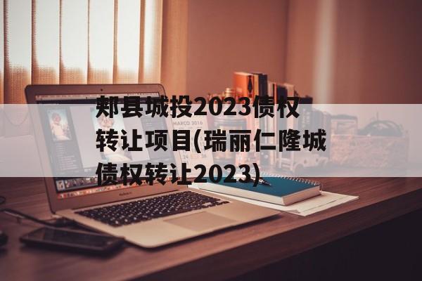 郏县城投2023债权转让项目(瑞丽仁隆城债权转让2023)