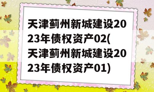 天津蓟州新城建设2023年债权资产02(天津蓟州新城建设2023年债权资产01)