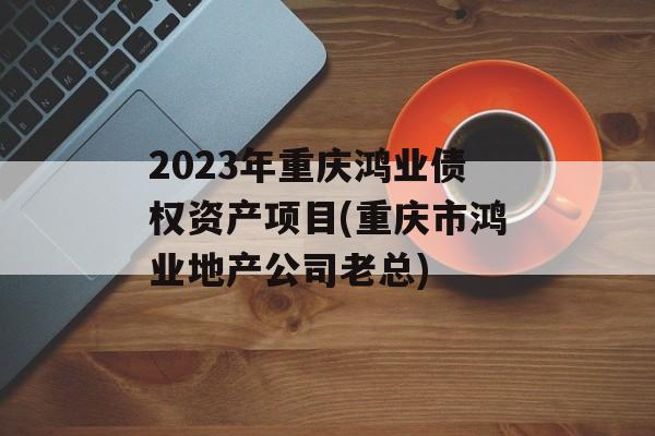 2023年重庆鸿业债权资产项目(重庆市鸿业地产公司老总)