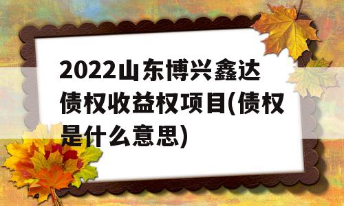 2022山东博兴鑫达债权收益权项目(债权是什么意思)