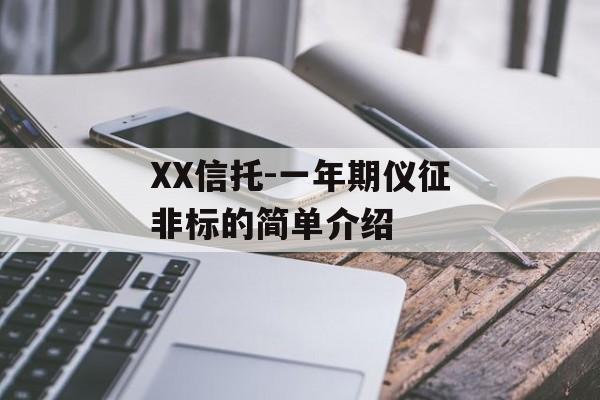 XX信托-一年期仪征非标的简单介绍