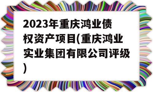 2023年重庆鸿业债权资产项目(重庆鸿业实业集团有限公司评级)