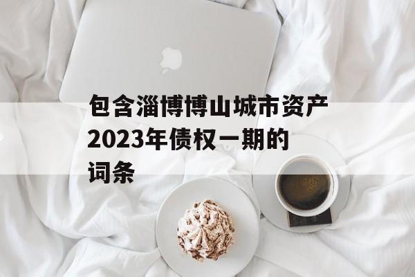 包含淄博博山城市资产2023年债权一期的词条