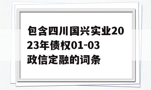 包含四川国兴实业2023年债权01-03政信定融的词条