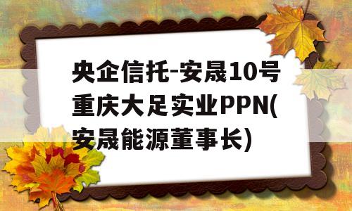 央企信托-安晟10号重庆大足实业PPN(安晟能源董事长)