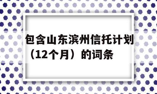 包含山东滨州信托计划（12个月）的词条