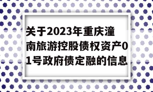 关于2023年重庆潼南旅游控股债权资产01号政府债定融的信息