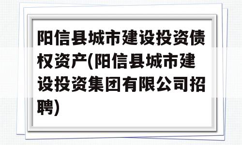 阳信县城市建设投资债权资产(阳信县城市建设投资集团有限公司招聘)