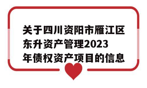 关于四川资阳市雁江区东升资产管理2023年债权资产项目的信息