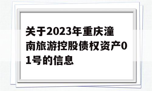 关于2023年重庆潼南旅游控股债权资产01号的信息