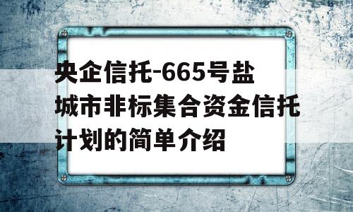 央企信托-665号盐城市非标集合资金信托计划的简单介绍