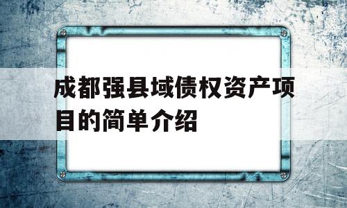 成都强县域债权资产项目的简单介绍