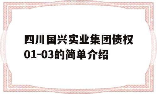 四川国兴实业集团债权01-03的简单介绍