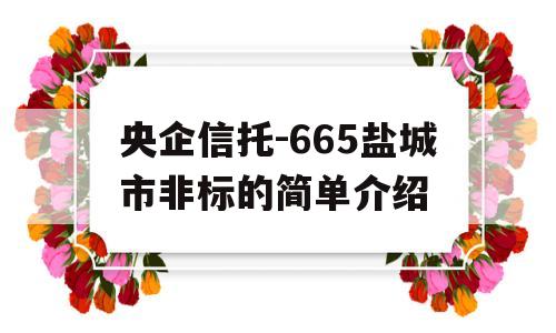 央企信托-665盐城市非标的简单介绍