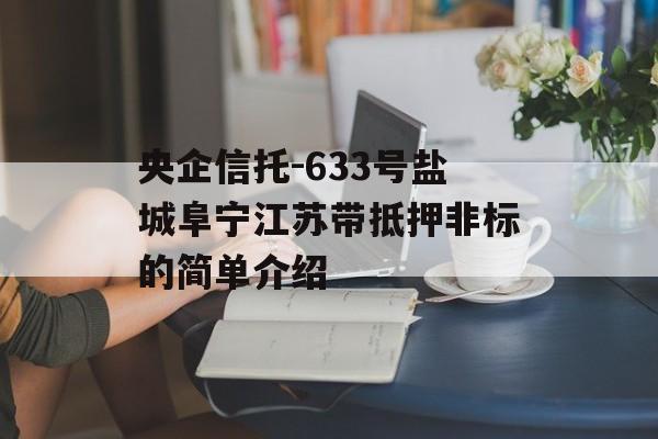 央企信托-633号盐城阜宁江苏带抵押非标的简单介绍