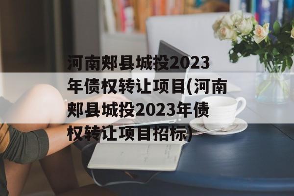 河南郏县城投2023年债权转让项目(河南郏县城投2023年债权转让项目招标)