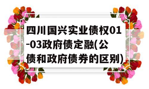 四川国兴实业债权01-03政府债定融(公债和政府债券的区别)