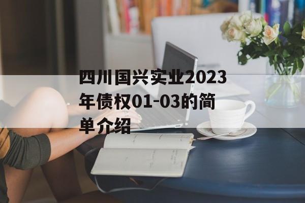 四川国兴实业2023年债权01-03的简单介绍