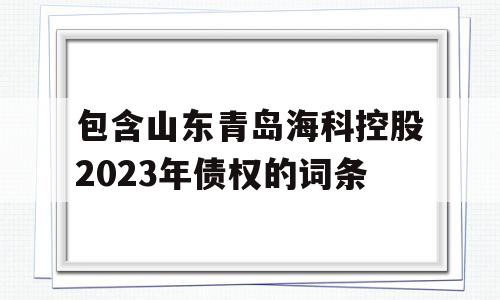 包含山东青岛海科控股2023年债权的词条